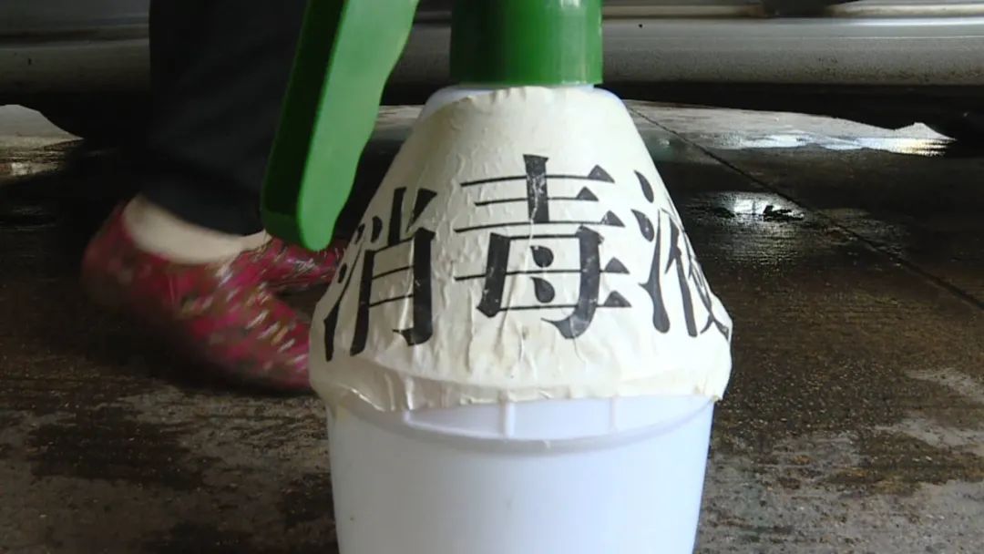 DƬ